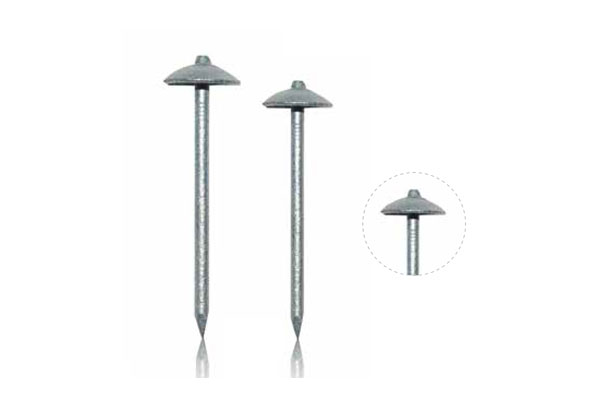 Galvanized Plain Roofing Nails