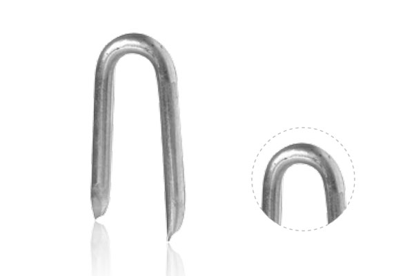 Galvanized Staples Nail